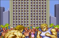 une photo d'Ã©cran de Street Fighter 2 - Special Champion Edition sur Sega Megadrive